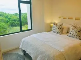 1 bedroom apartment in Sibaya