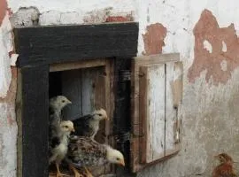 Eneby Gård Apartments