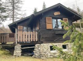 Entire cozy chalet in St-Cergue - 30 min from Geneva，位于圣塞尔格的酒店