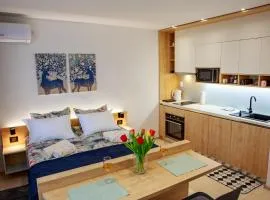 Studio apartman D7