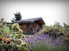 Hôtel Le Manoir des Montagnes，位于莱鲁斯的酒店