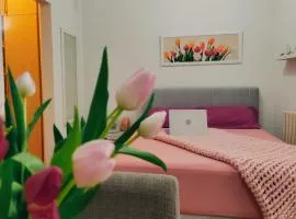 Apartman Lenka