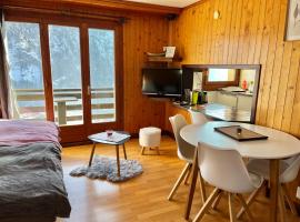 Appartement Chalet France，位于Salvan的酒店