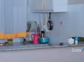 Okeiga Apartment
