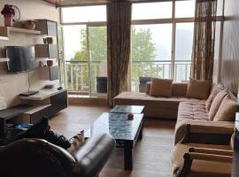 Blue sky Apartment，位于Nathia Gali的酒店