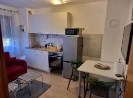 Studio apartman Šapudl