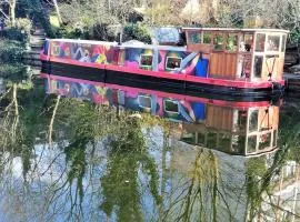 Slash Arts houseboat on secluded mooring in central London