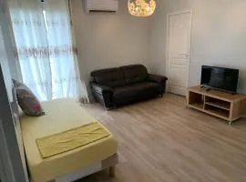 Grand Appartement de 3 pièces