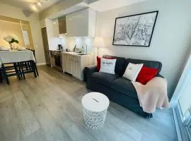 Stunning Suite in Heart of Downtown Toronto J1