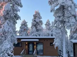 WALD Villas - Aavasaksa, Lapland