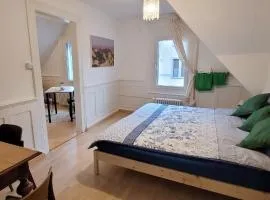 2 Zimmer Zentral-ruhig mit Flair Gertrud Schlössli