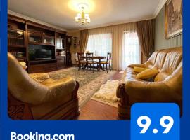 Apartament Boem în Inima Oraşului Craiova，位于克拉约瓦的家庭/亲子酒店