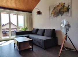 Stylish apartment with superb views，位于Birr的酒店