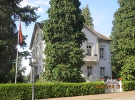 Villa Martha，位于巴登韦勒的酒店