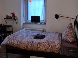 Gemütliches Zimmer in einer Altbauwohnung in der Stadt，位于维尔茨堡的酒店