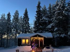 Gemuetliches Blockhaus im Wald，位于Auktsjaur的度假屋