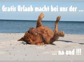 Bungalow WALD & SAND direkt am Strand