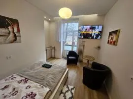 Apartamentas su balkonu Kauno centre