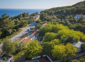 Apartments with a parking space Babino Polje, Mljet - 22319，位于巴比诺波尔杰的酒店