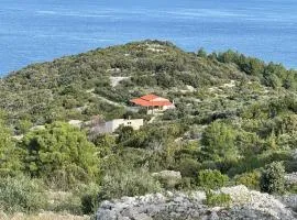 Seaside holiday house Cove Mala Svitnja, Vis - 22345