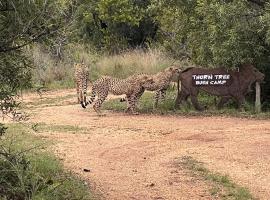 Thorn Tree Bush Camp，位于Klipdrift的豪华型酒店