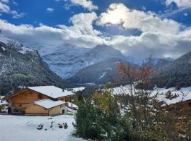 One bedroom appartment in Les Diablerets，位于莱迪亚布勒雷的酒店