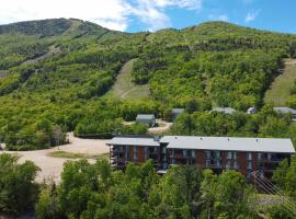 Les Appartements du Massif de Charlevoix，位于圣弗朗索瓦小河的住宿