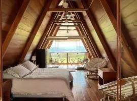 Fundo Don Alfredo en Laguna Azul Sauce, Tarapoto-San Martín