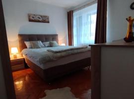 Apartman Rania，位于维索科的酒店