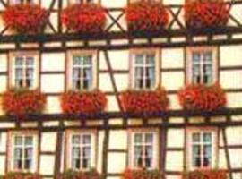 Akzent Bayerischer Hof，位于米内尔斯塔特的酒店