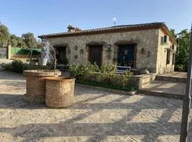 Finca olivar el pino