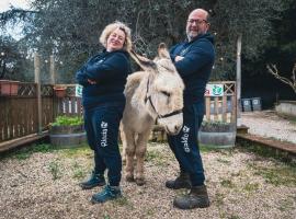 Agricola Baldo e Riccia - Fattoria e Agriturismo，位于佩鲁贾的农家乐