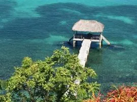 Superbe villa avec ponton privé