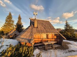 Koča Velika Planina - Chalet Kamrica，位于Stahovica的乡村别墅