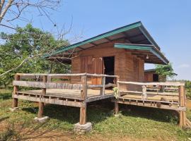 Shared Happy Farm