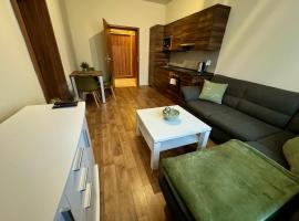 Apartmány Laubeho náměstí，位于特普利采的酒店