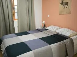 Coimbra downtown studio