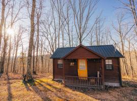 Cozy Tiny Cabin Getaway w/ Views，位于Sugar Tree的乡间豪华旅馆