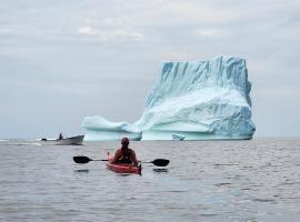 Seaclusion Twillingate，位于特威林盖特的度假屋