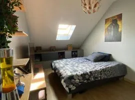Chambre en duplex, entrée autonome, SDB privative