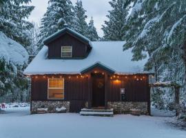 River Rock Chalet :: Hot Tub, Pets, Stevens Pass，位于Skykomish的酒店
