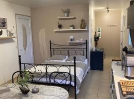 Cottage a la campagne avec piscine et SPA，位于Ardentes的乡间豪华旅馆