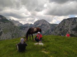 CAMPING ZELENI GAJ (GREEN FOREST)，位于普卢日内的酒店