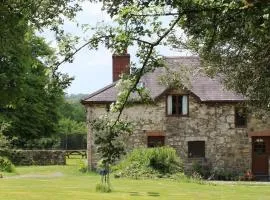 David's Organic Farm Wales