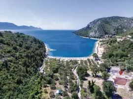 Apartman Vesna