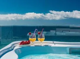 Luxury Mandre Penthouse
