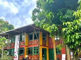 Carayurú