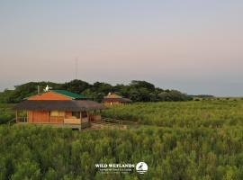 Wild Wetlands Lodge，位于伊图萨因戈的酒店