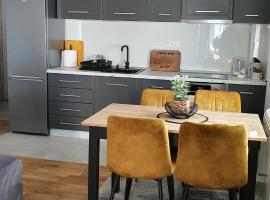 JR Lux apartman，位于旧帕佐瓦的酒店