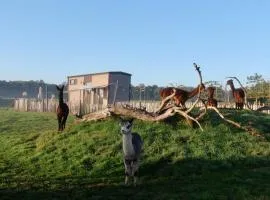 Tiny House Alpakablick - inklusive gratis Alpaka Meet & Greet